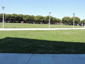 2019 06 01 LA SEYNE SUR MER A.G DE LA SEPIA FEDERATION NATIONALE (24)